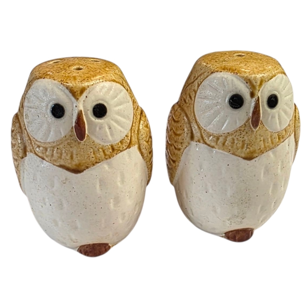Ceramic Owl Salt Pepper Shakers Set Vintage Farmhouse Kitchen Decor